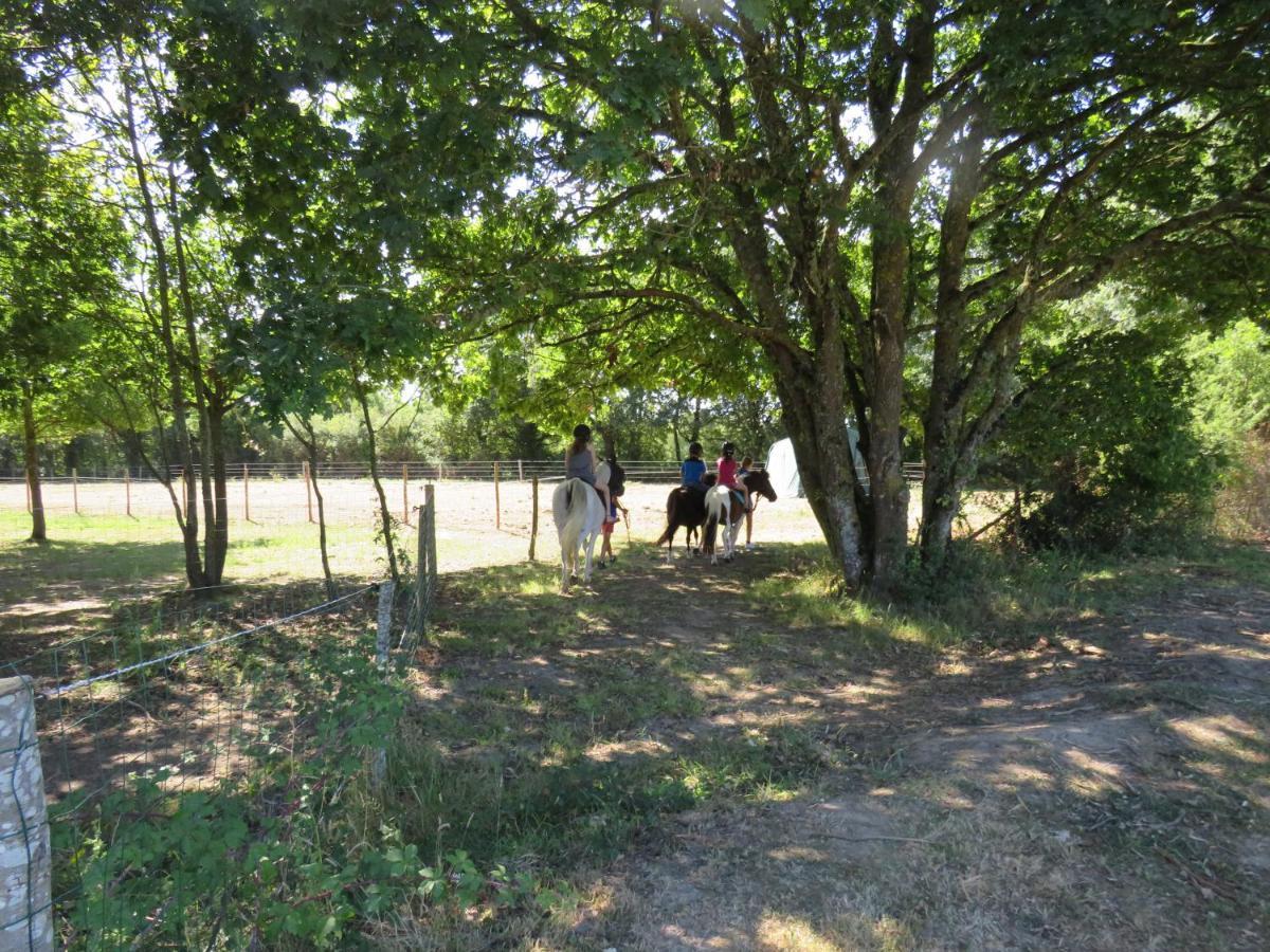Gites Les P'Tites Maisons Dans La Prairie Sallertaine Exterior foto